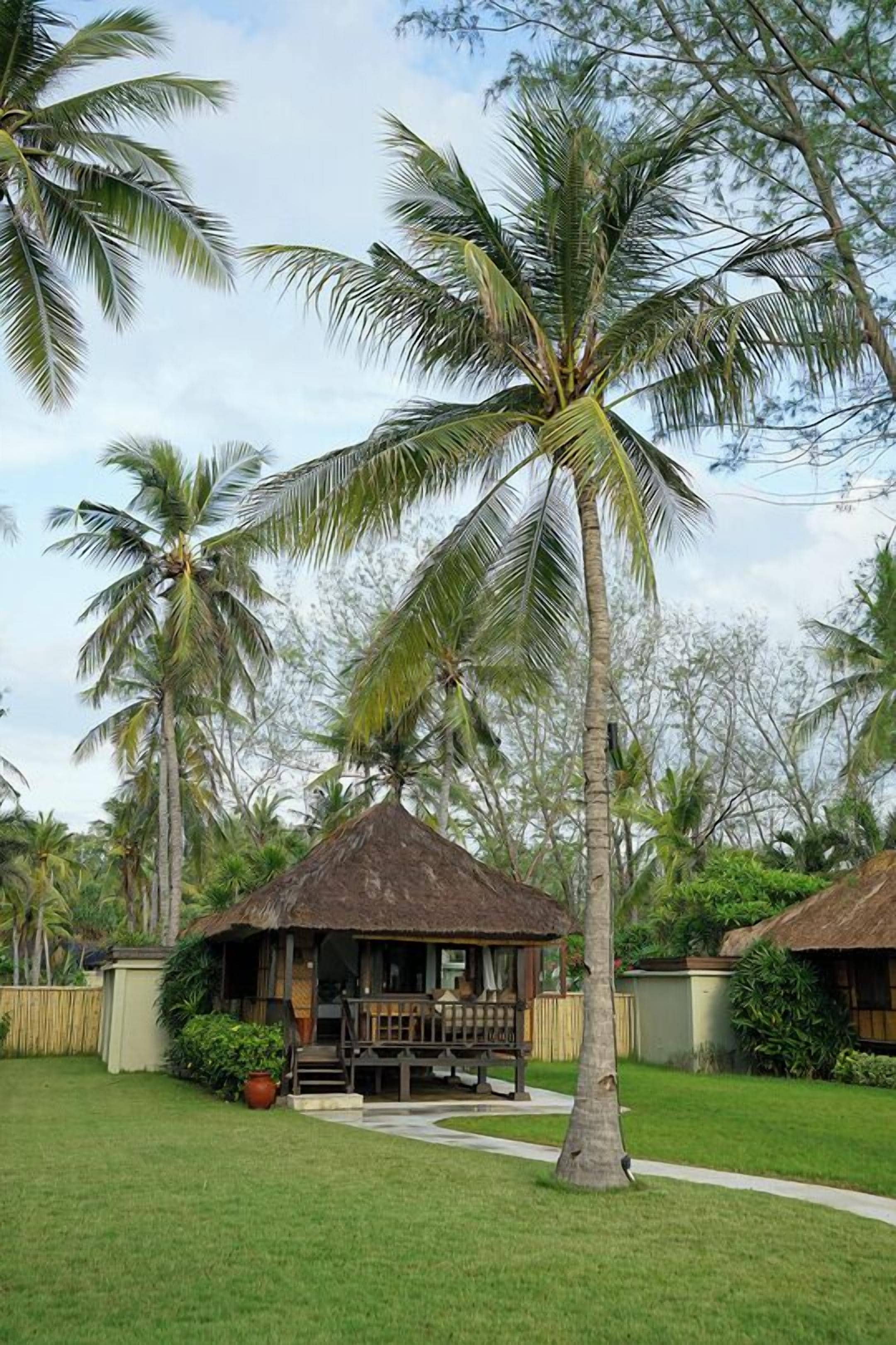 平房 (Palm View) | 高档床上用品、迷你吧、客房内保险箱、特 色装修