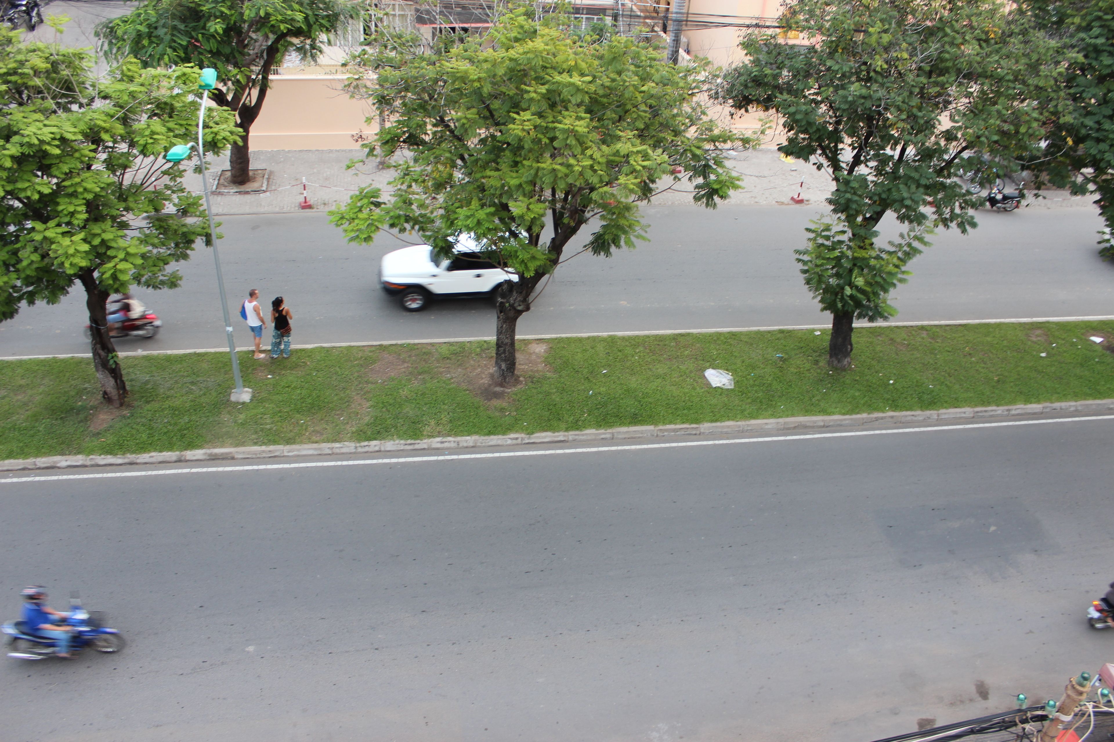Vista callejera con árboles, un coche blanco y una motocicleta azul.