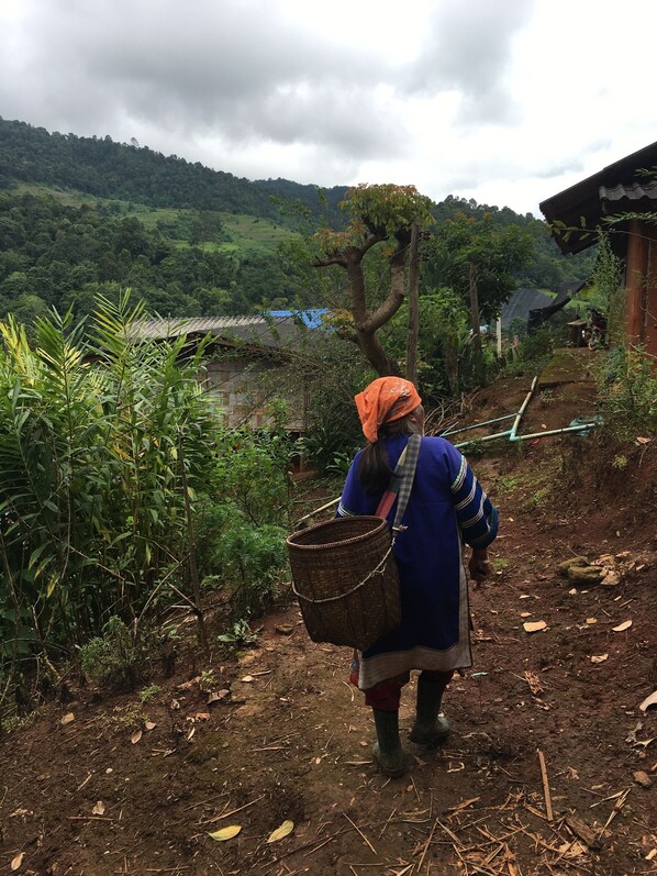 Une personne marchant sur un chemin de terre, tenant un panier, entourée de verdure et avec une maison en arrière-plan.