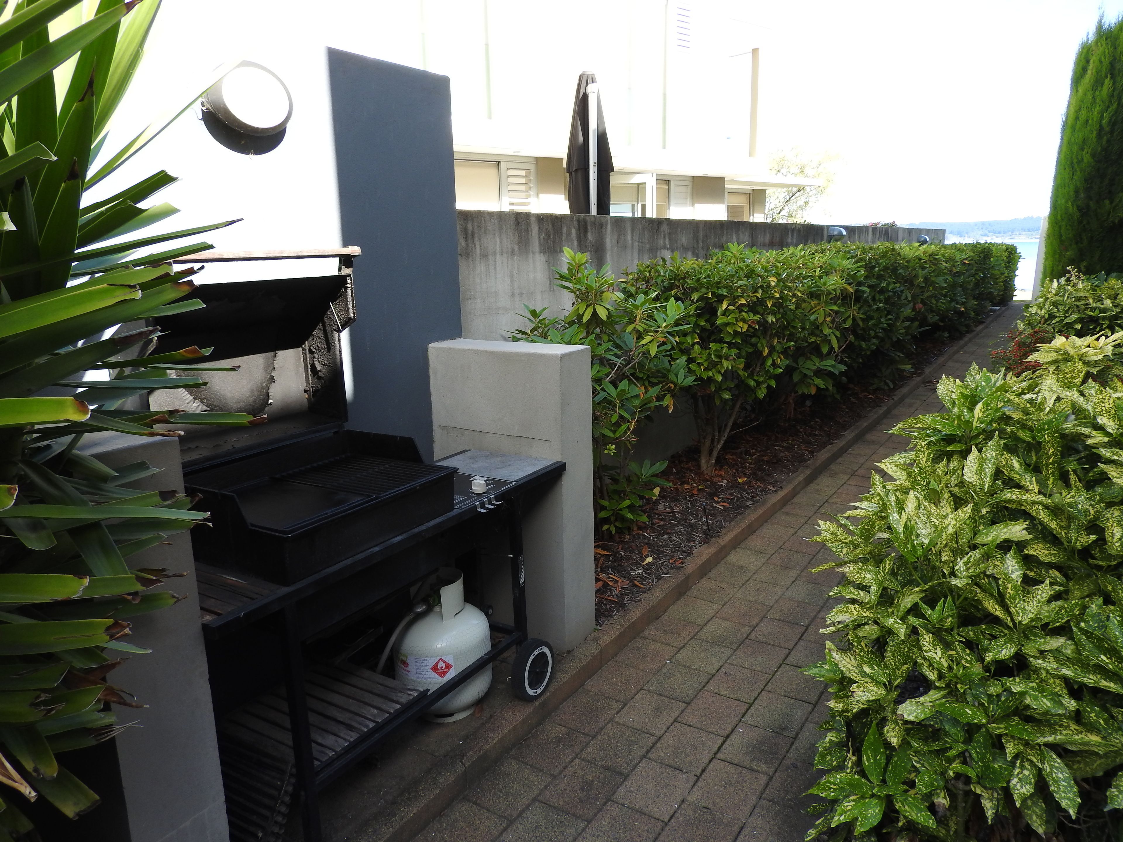 Una parrilla para barbacoa con un tanque de gas, un bloque de concreto y un seto a lo largo de un camino pavimentado.