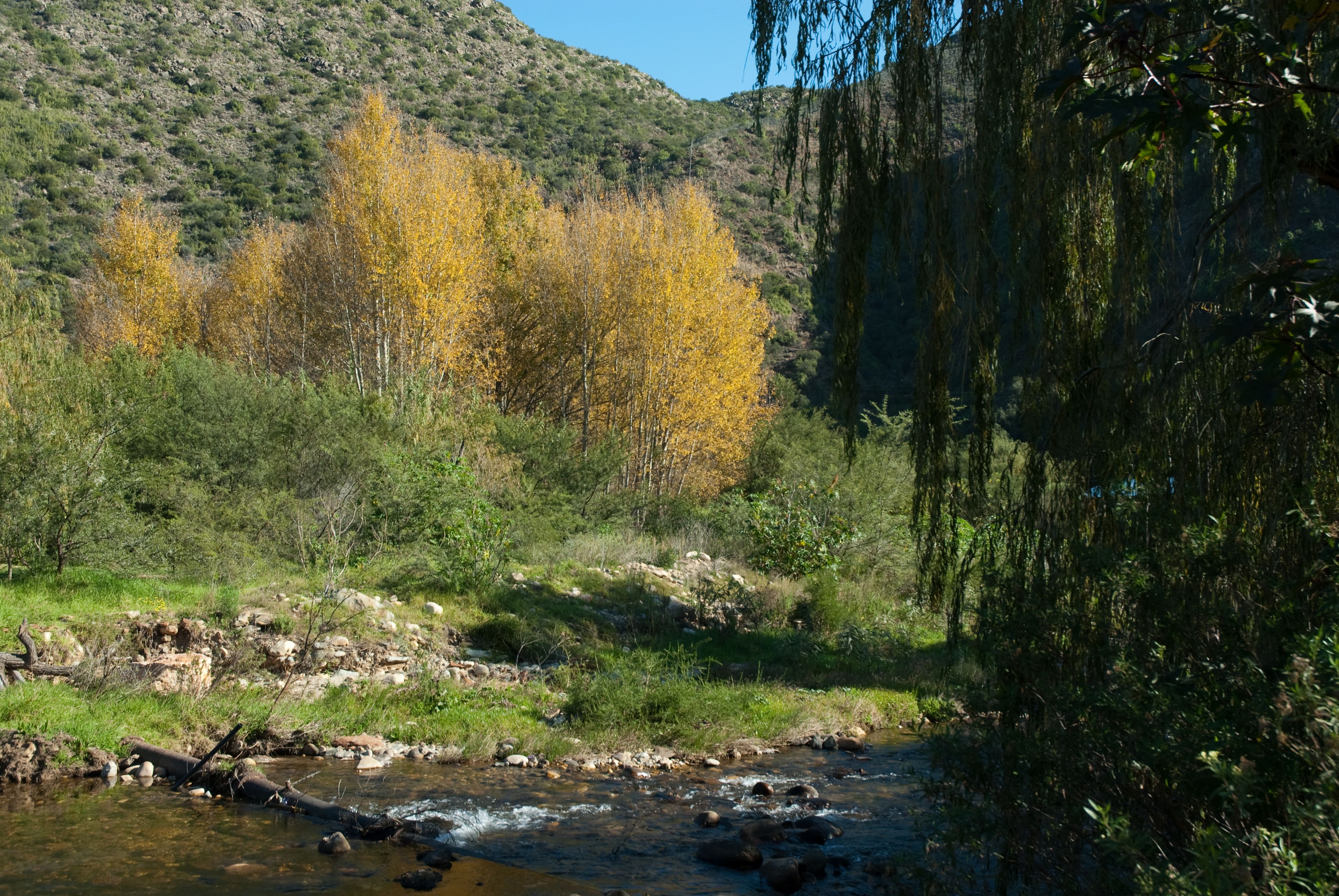 Un paysage naturel avec une rivière sinueuse, des arbres et une colline.