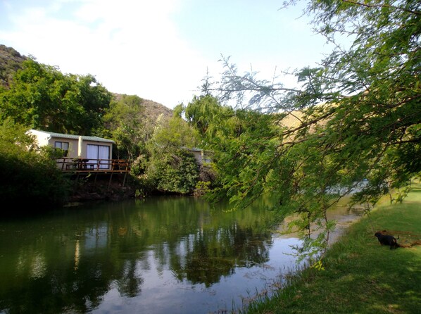 View from property - Old Mill Lodge, Working Ostrich Farm & Restaurant, Oudtshoorn (Oudtshoorn)