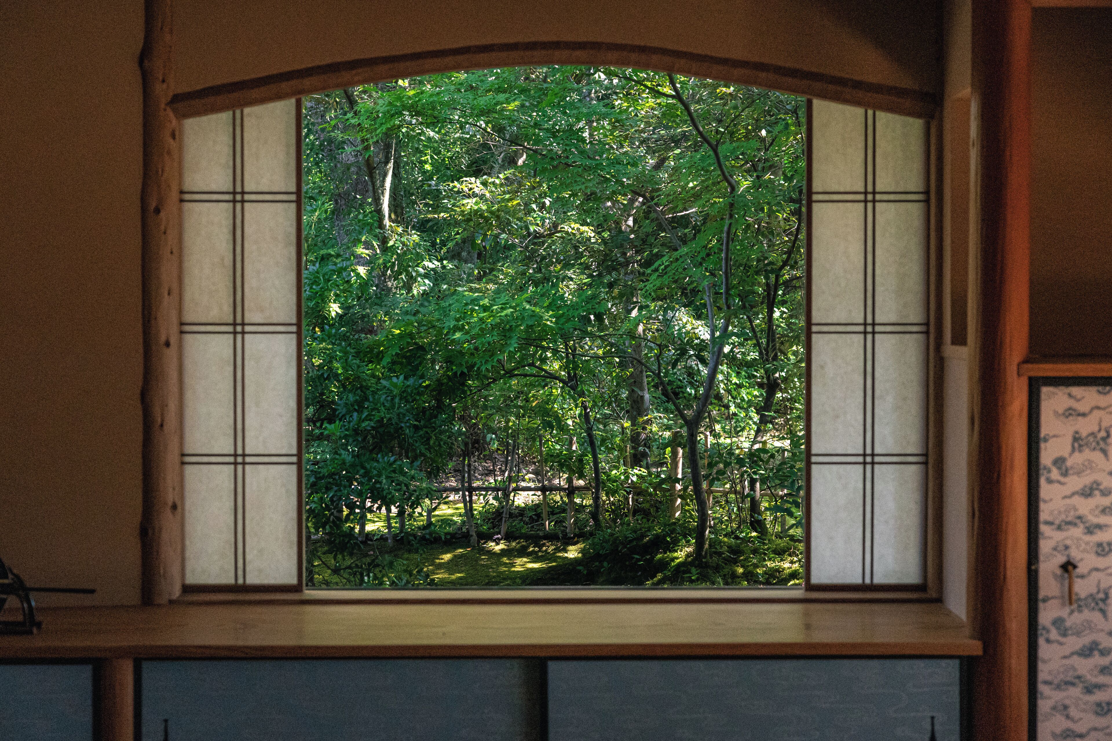 Una habitación con un amplio ventanal que ofrece vistas a un bosque frondoso.