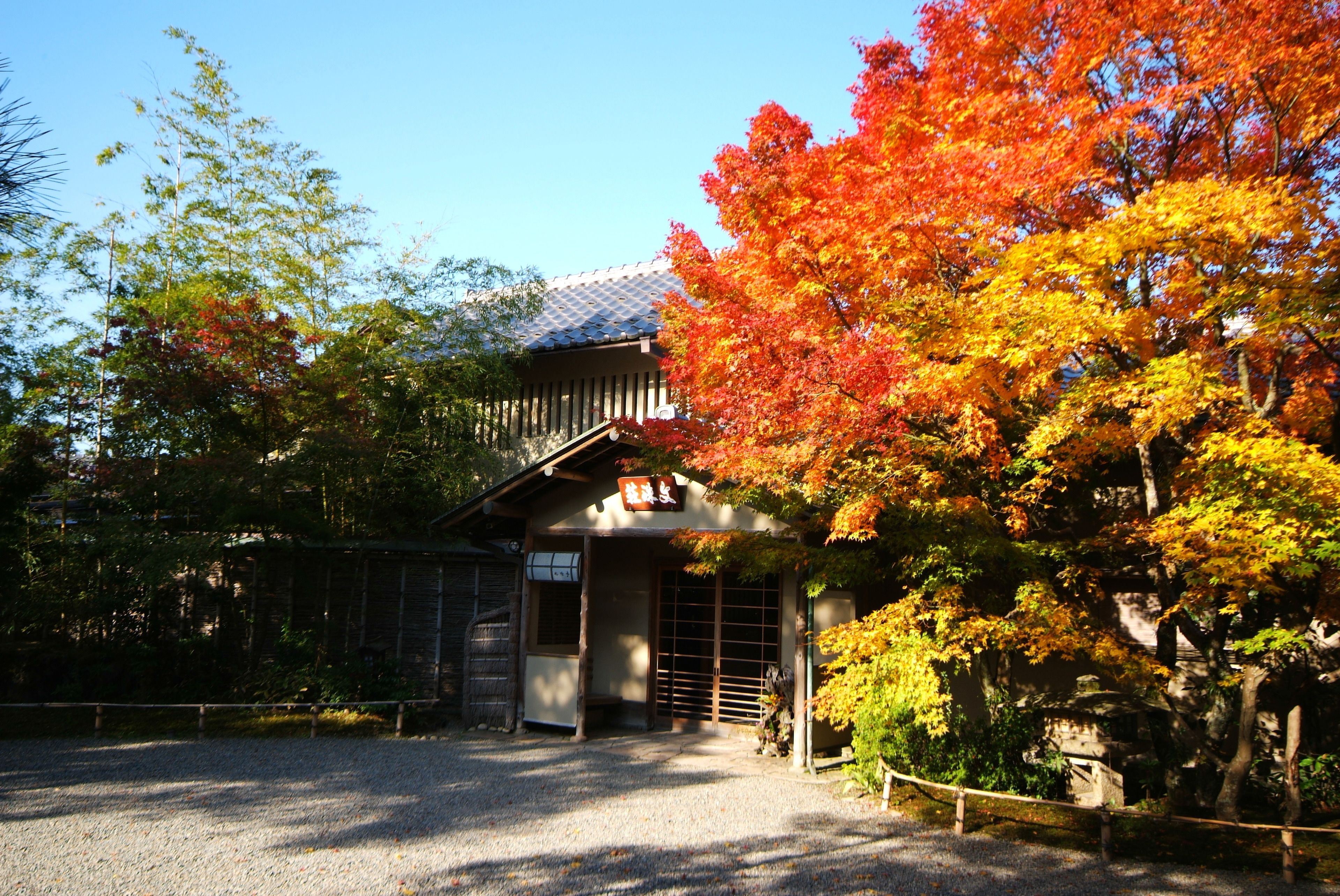 A traditional Japanese building with a gravel driveway and a wooden fence.