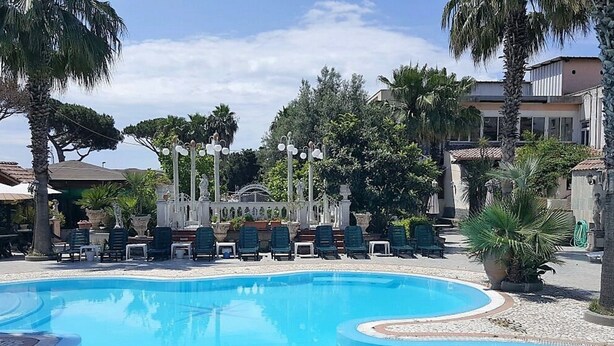 Una piscina amb gandules i palmeres.