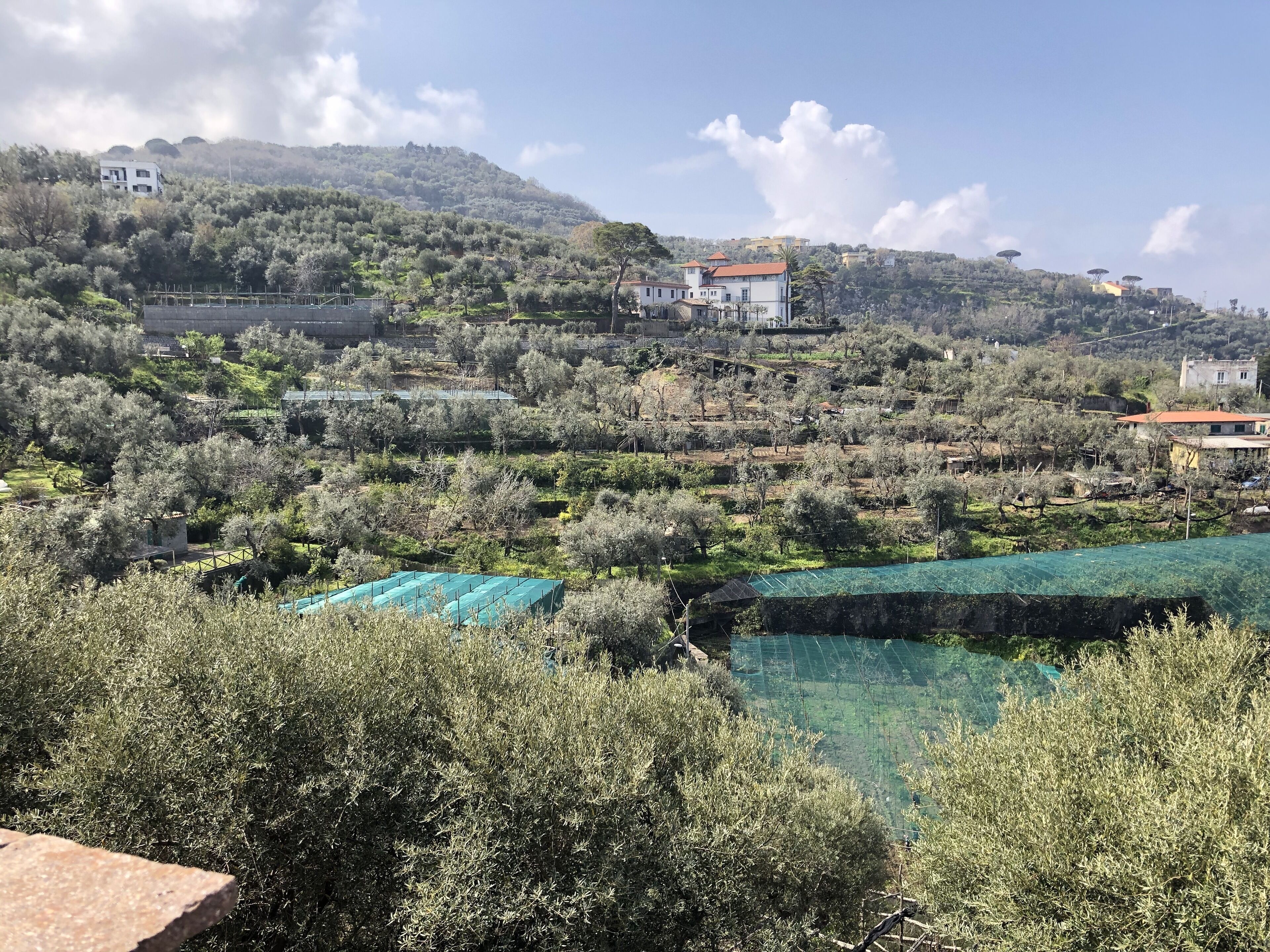 land view from property