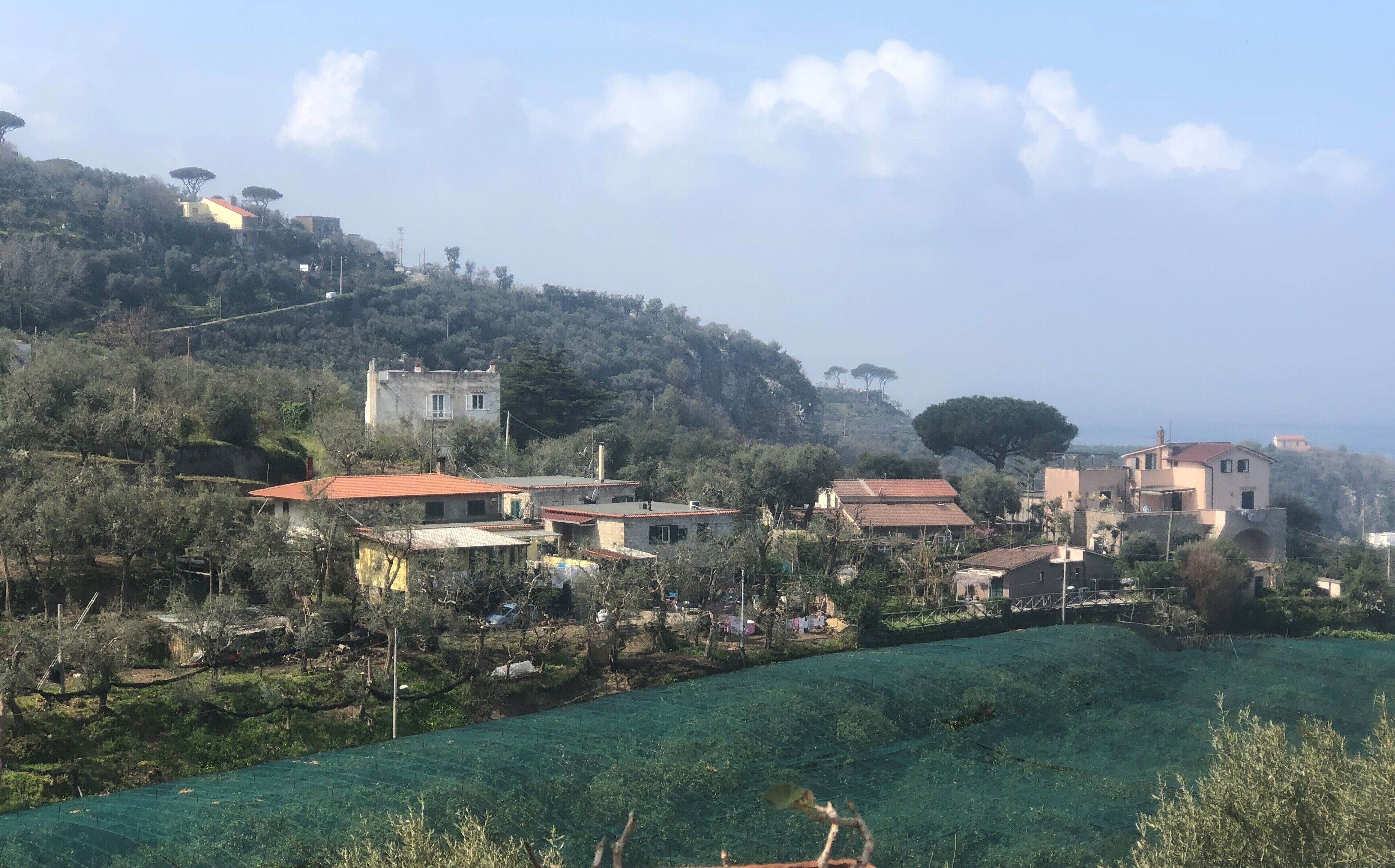 land view from property