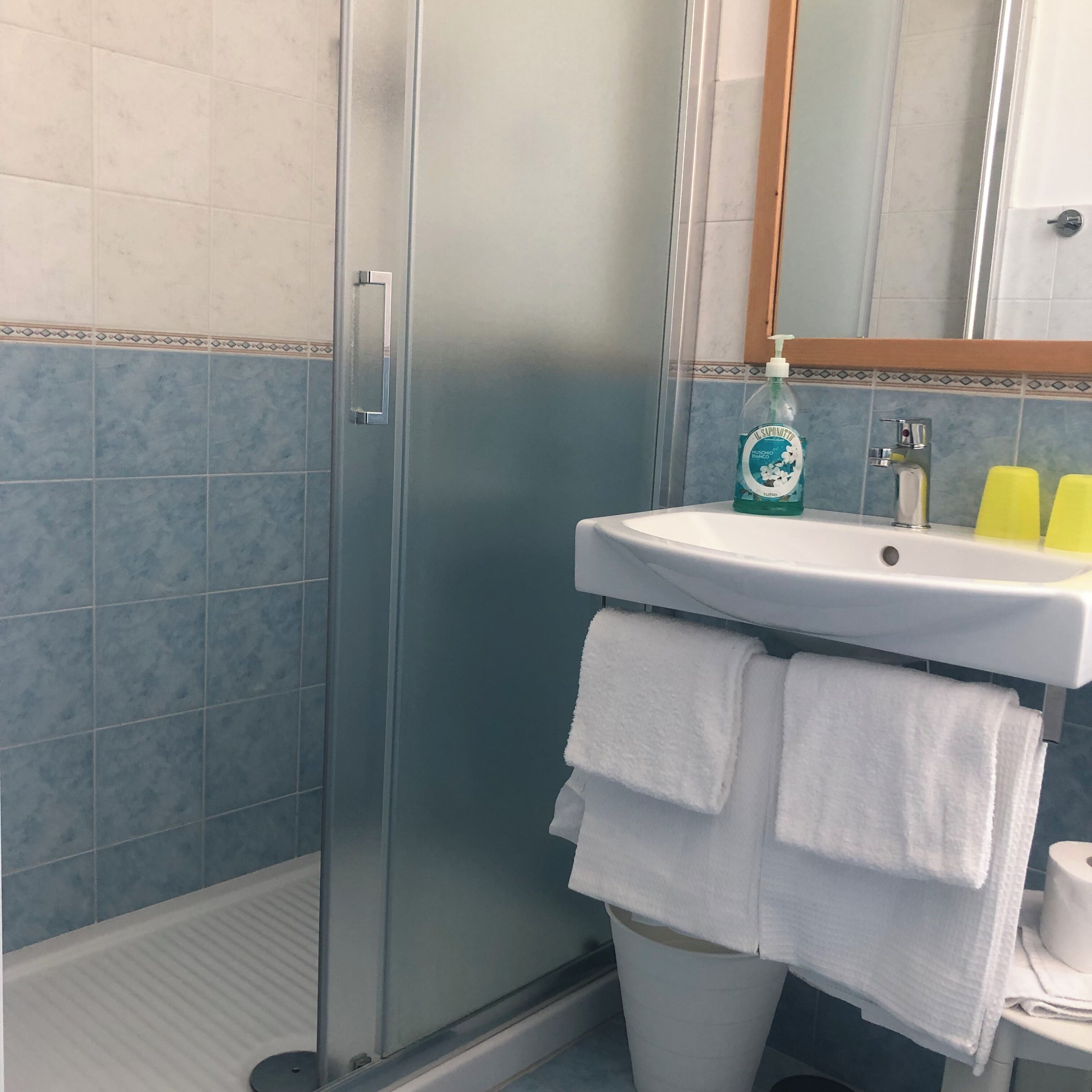 rainfall showerhead, hair dryer, bidet, towels