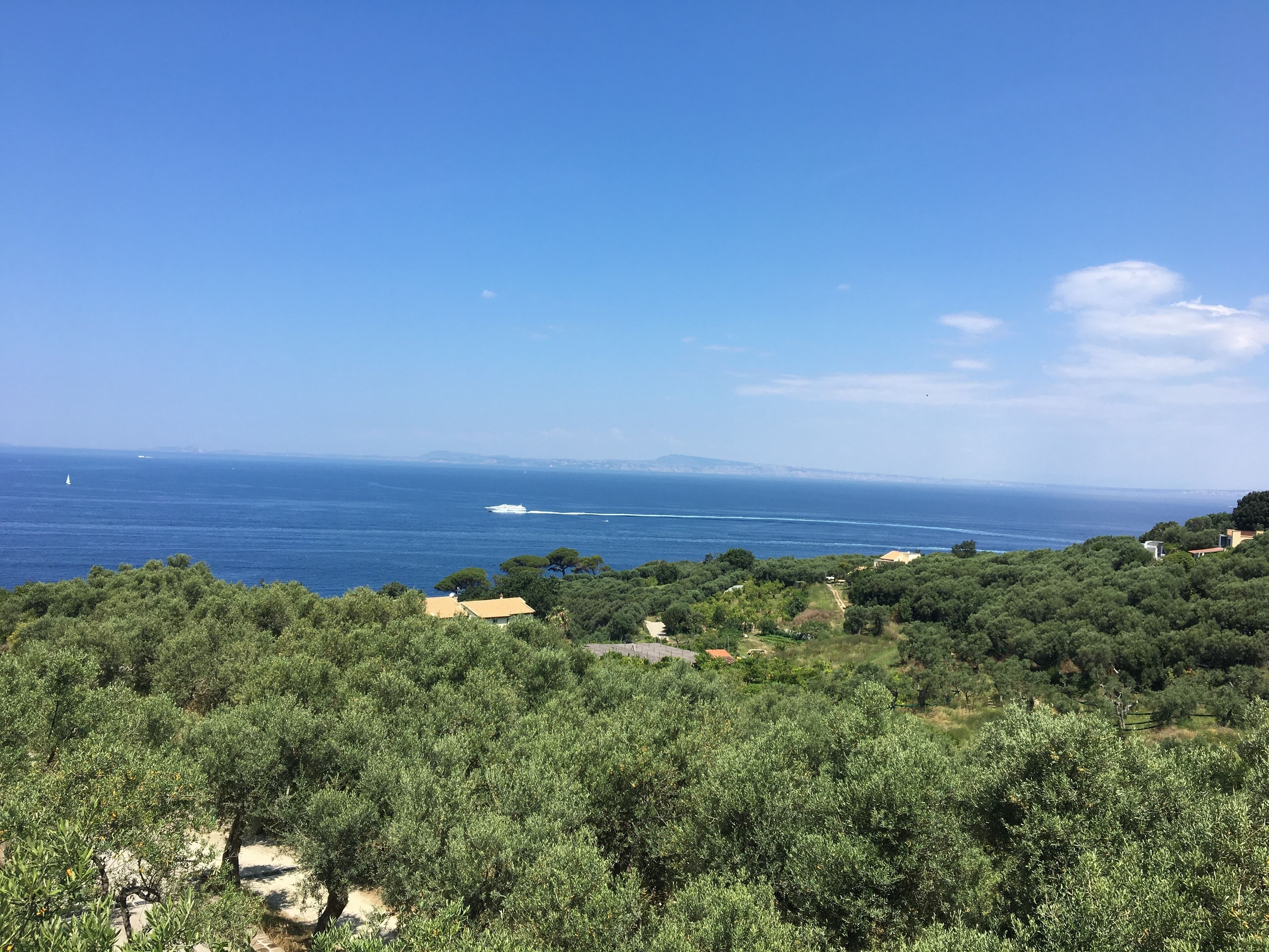 Foto - Hotel Dania