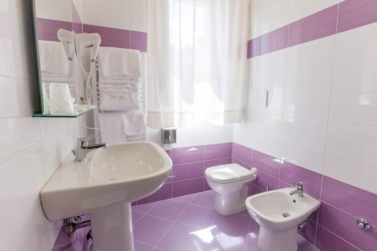 shower, free toiletries, hair dryer, bidet