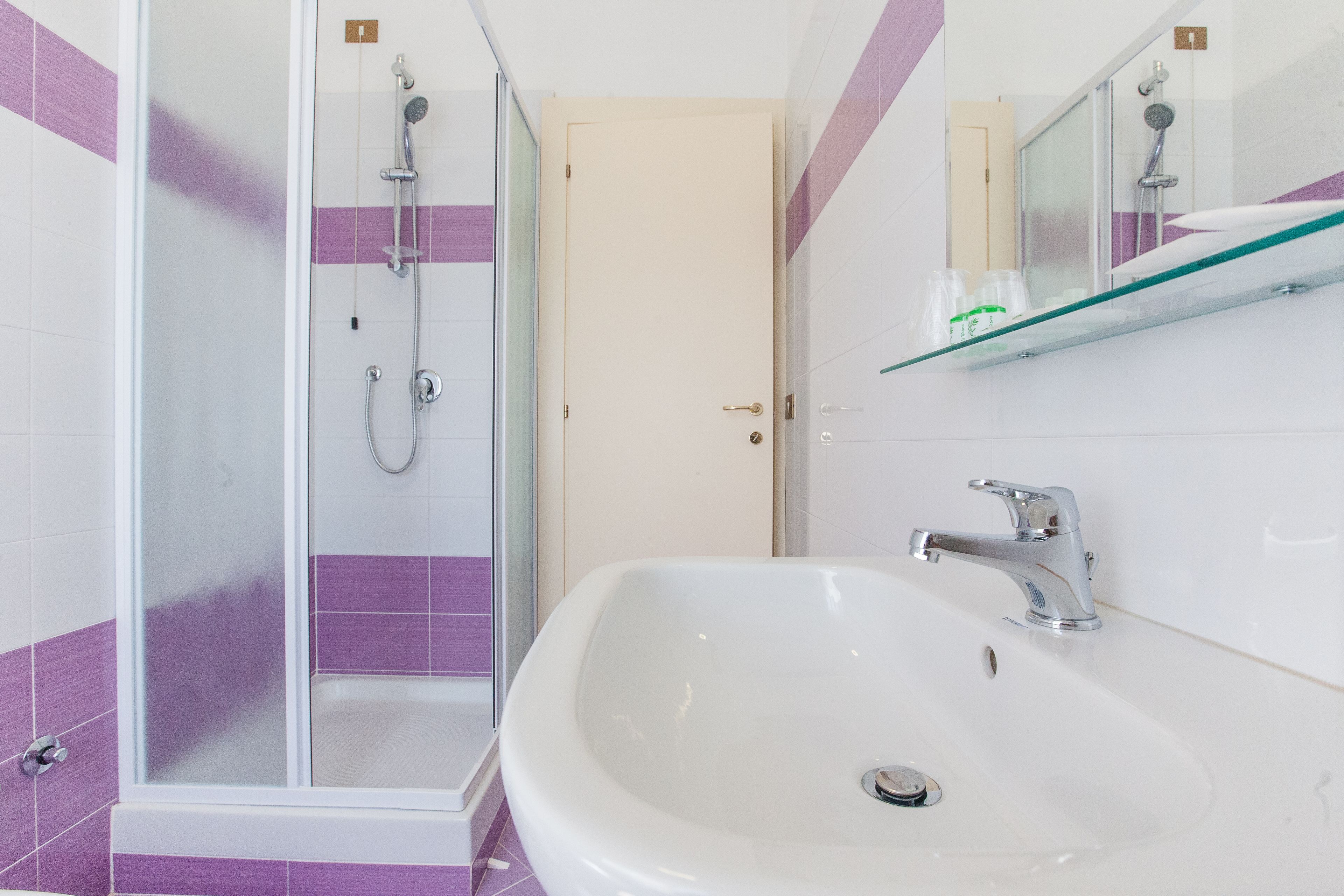 shower, free toiletries, hair dryer, bidet