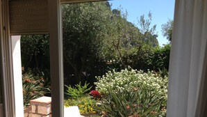 Vista desde la habitación