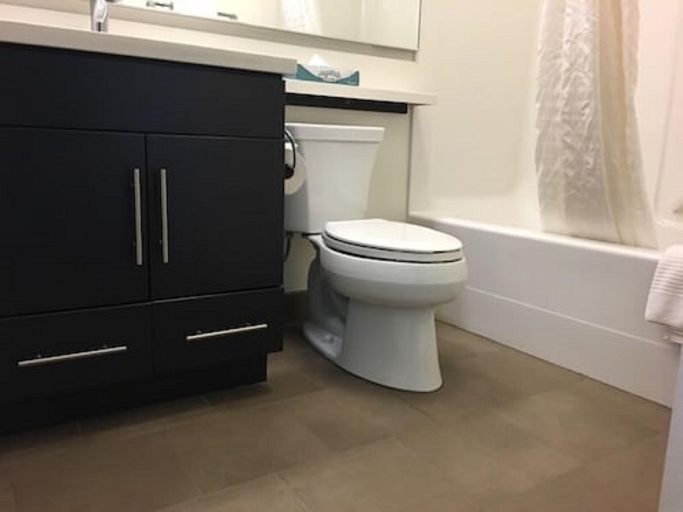 combined shower/bathtub, free toiletries, hair dryer, towels