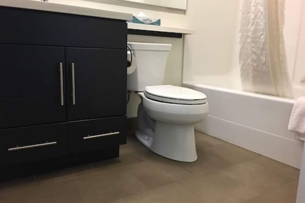 combined shower/bathtub, free toiletries, hair dryer, towels