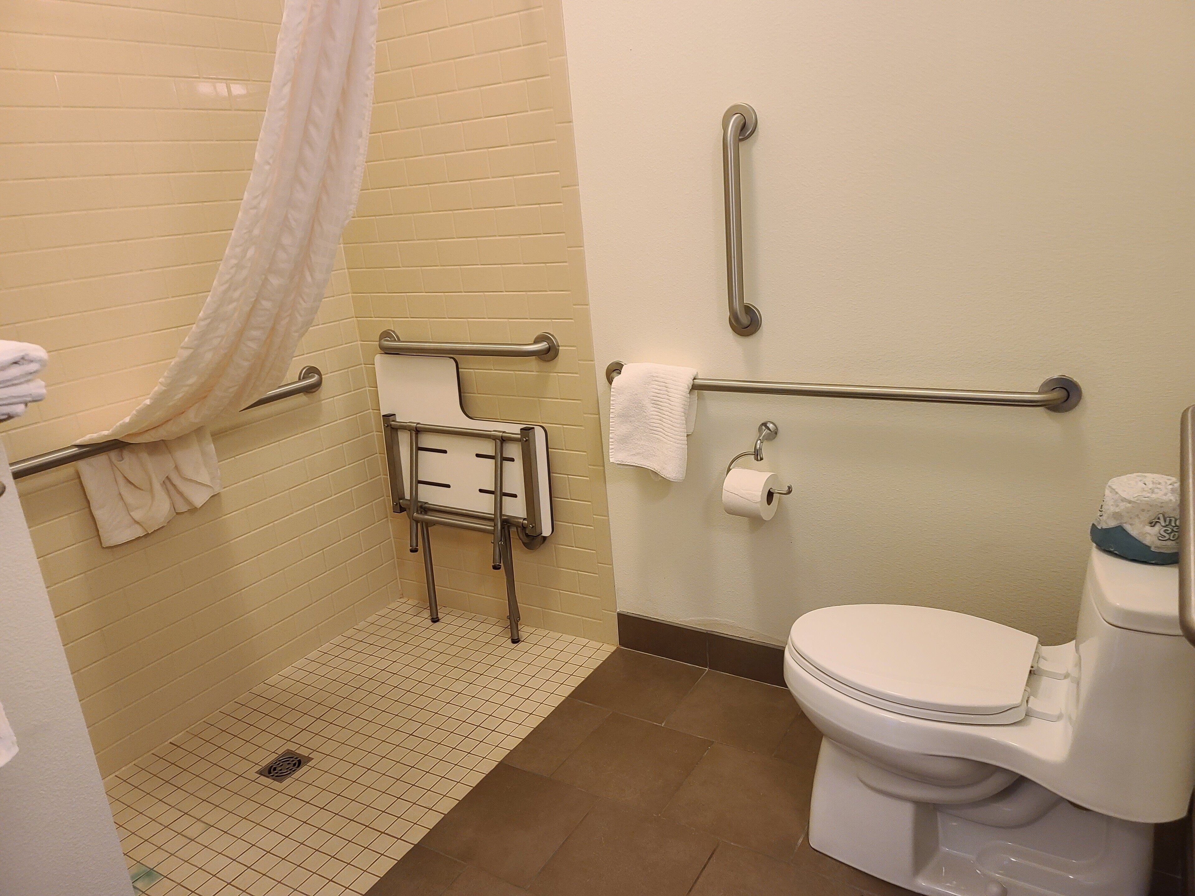 combined shower/bathtub, free toiletries, hair dryer, towels
