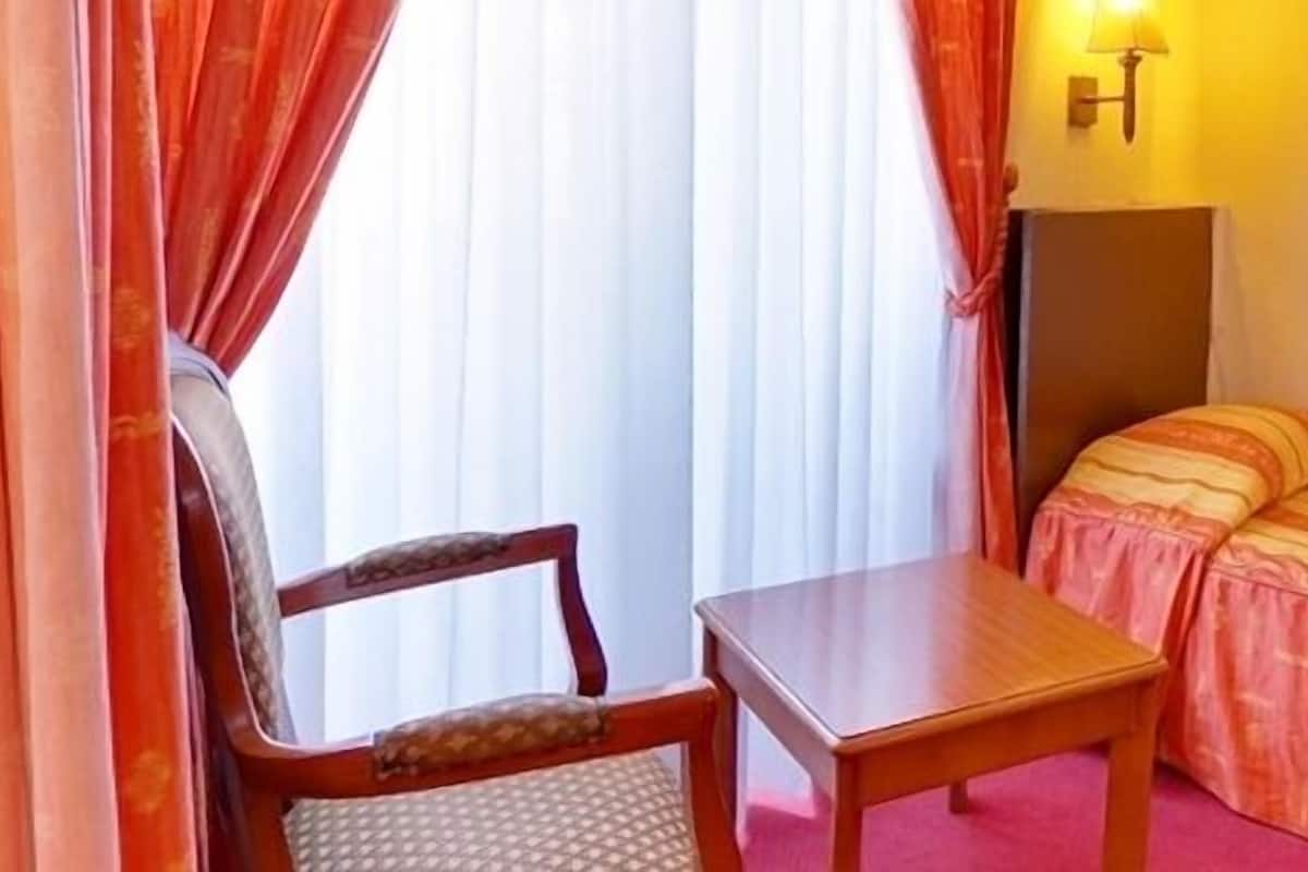 Standard Single Room | Minibar, soundproofing, free WiFi, bed sheets