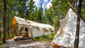 Premium bedding, memory foam beds, bed sheets