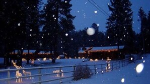 Property grounds - Somer's Bay Log Cabin lodging (Somers)