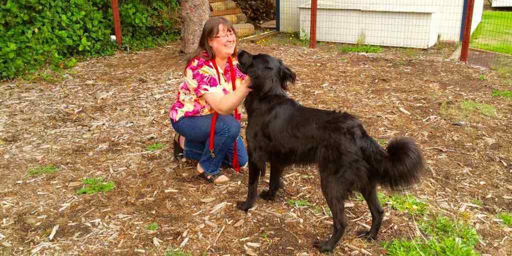 Uma pessoa agachada ao lado de um cão preto grande num jardim com cobertura de cascalho.