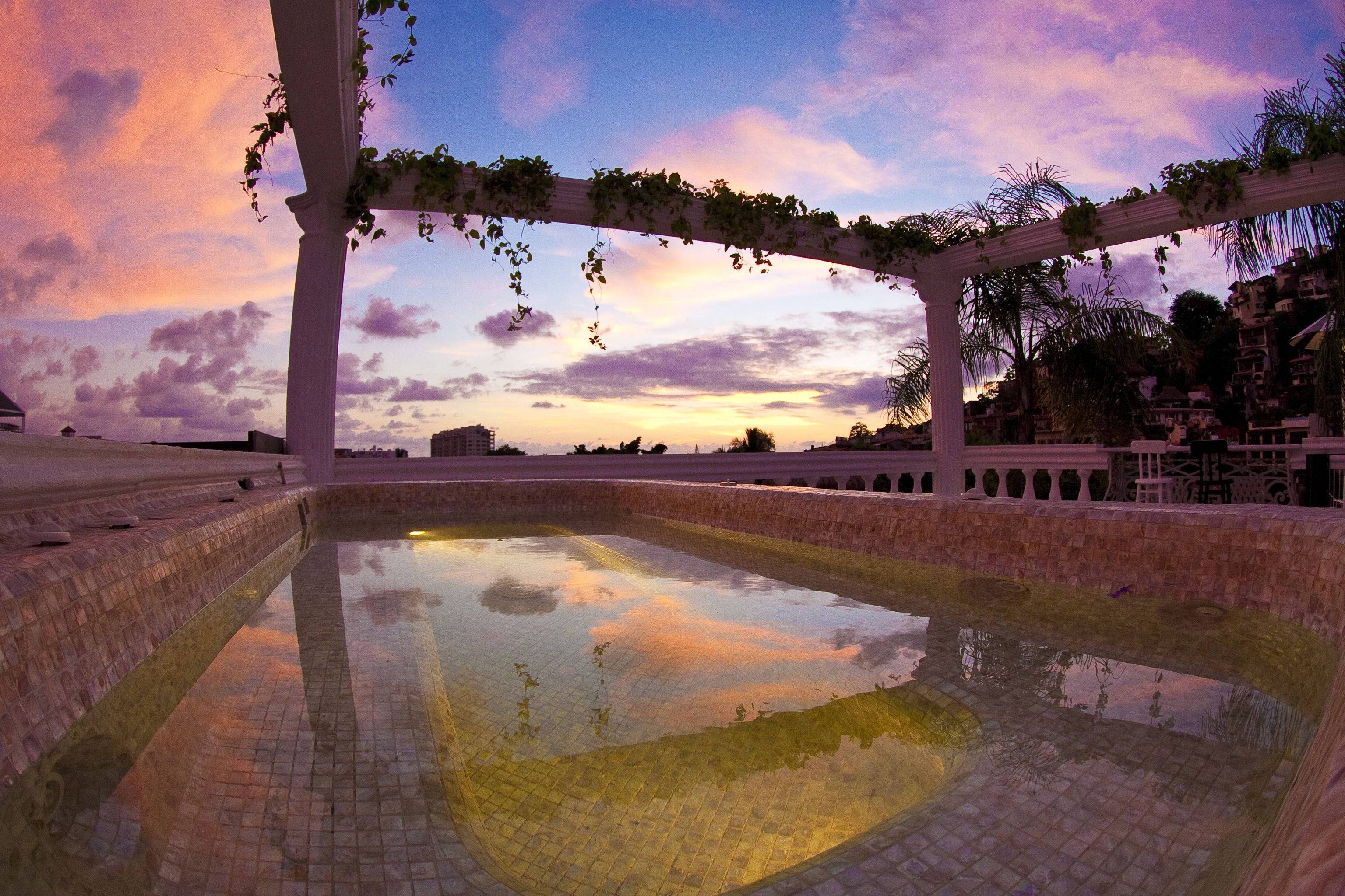 Una piscina con borde de azulejos y una pérgola de madera con plantas colgantes.