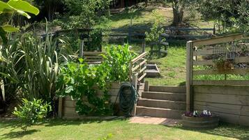 A garden with a wooden staircase leading up a hill, surrounded by various plants and trees.