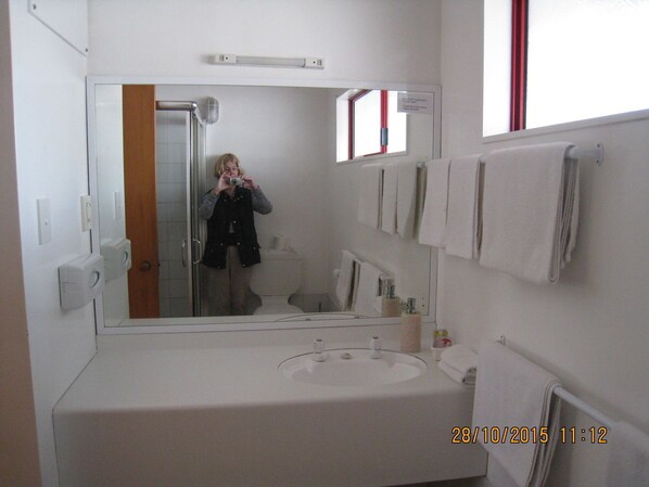 Une salle de bain avec un grand miroir, un lavabo et des toilettes.