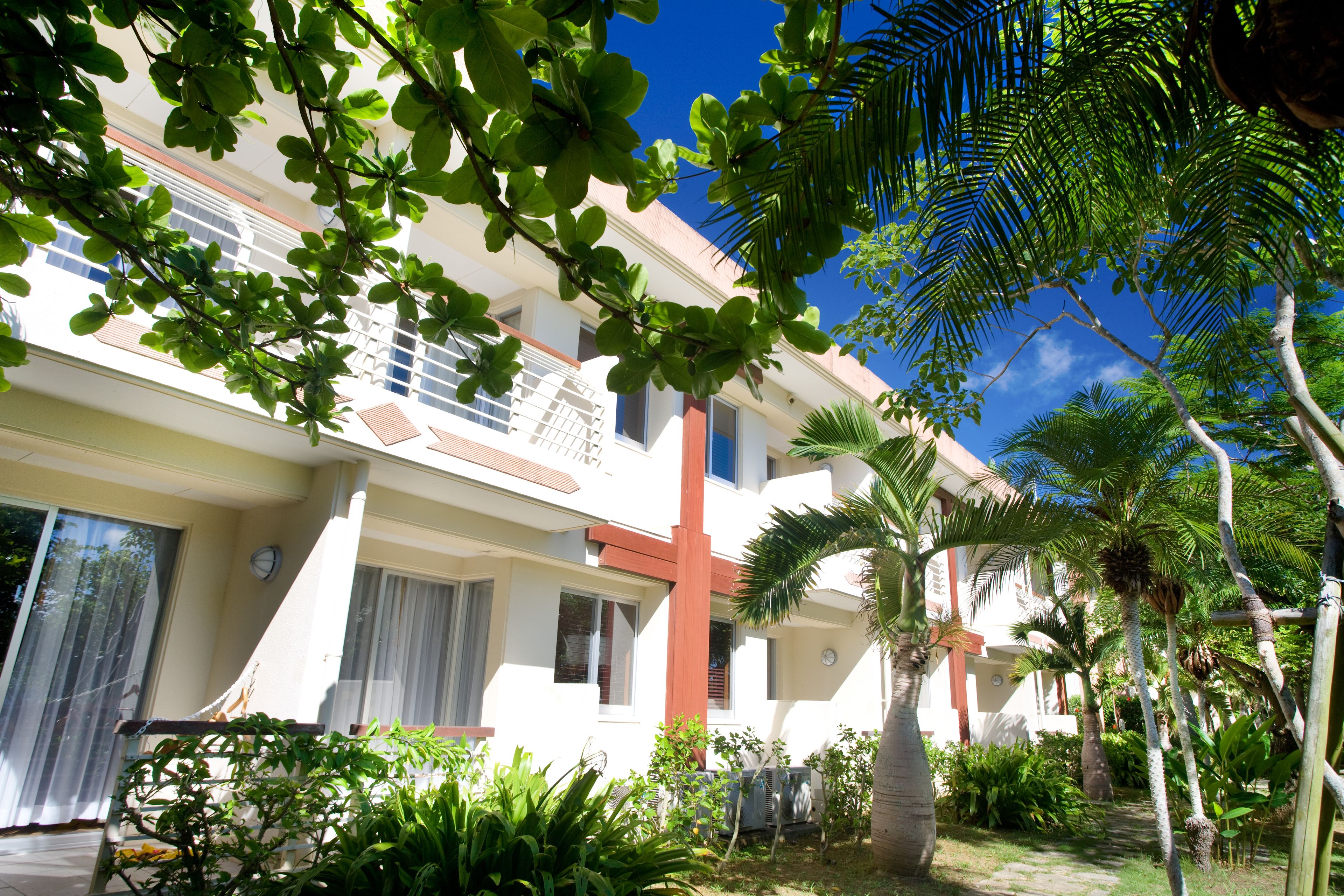 Deluxe Twin Garden View with shuttle bus service from the airport (Please make a reservation ahead) | View from property