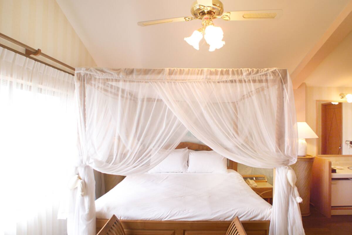 A bedroom with a canopy bed, a ceiling fan, and a bedside table with a lamp.