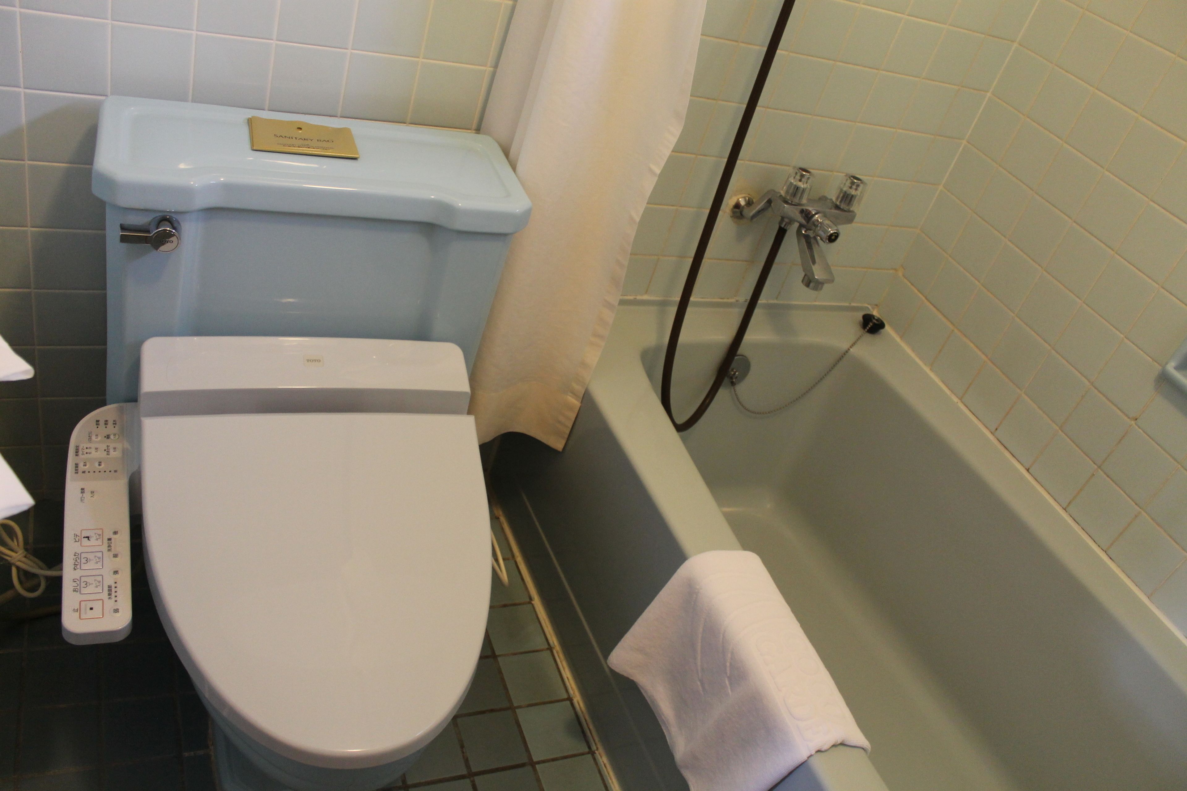 A bathroom with a toilet, a bathtub, and a shower.
