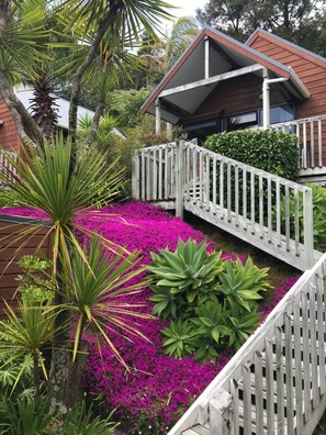 Property grounds - Bay Cabinz Motel (Paihia)