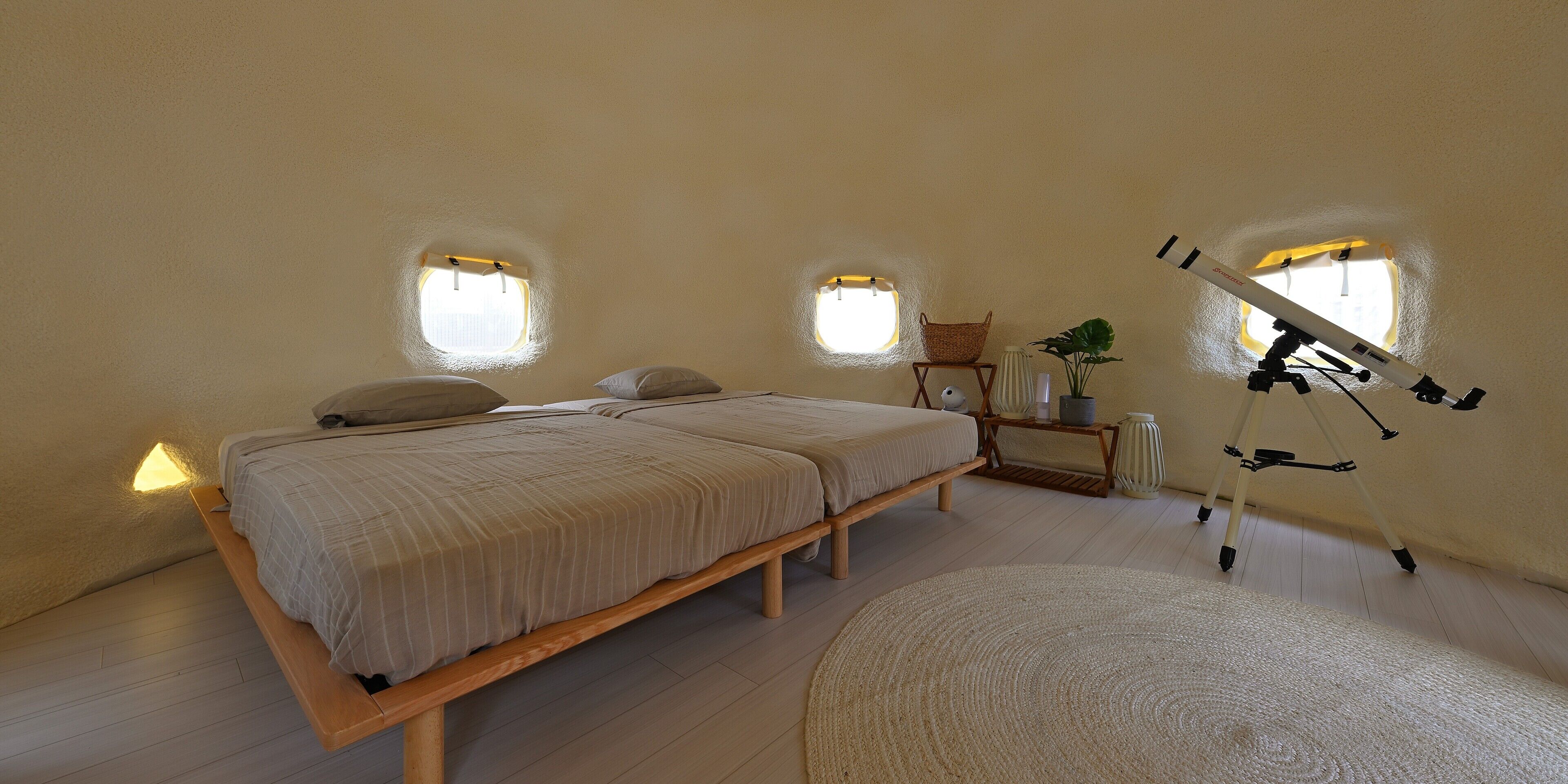 A bedroom with two beds, a telescope, and a small table with a plant.