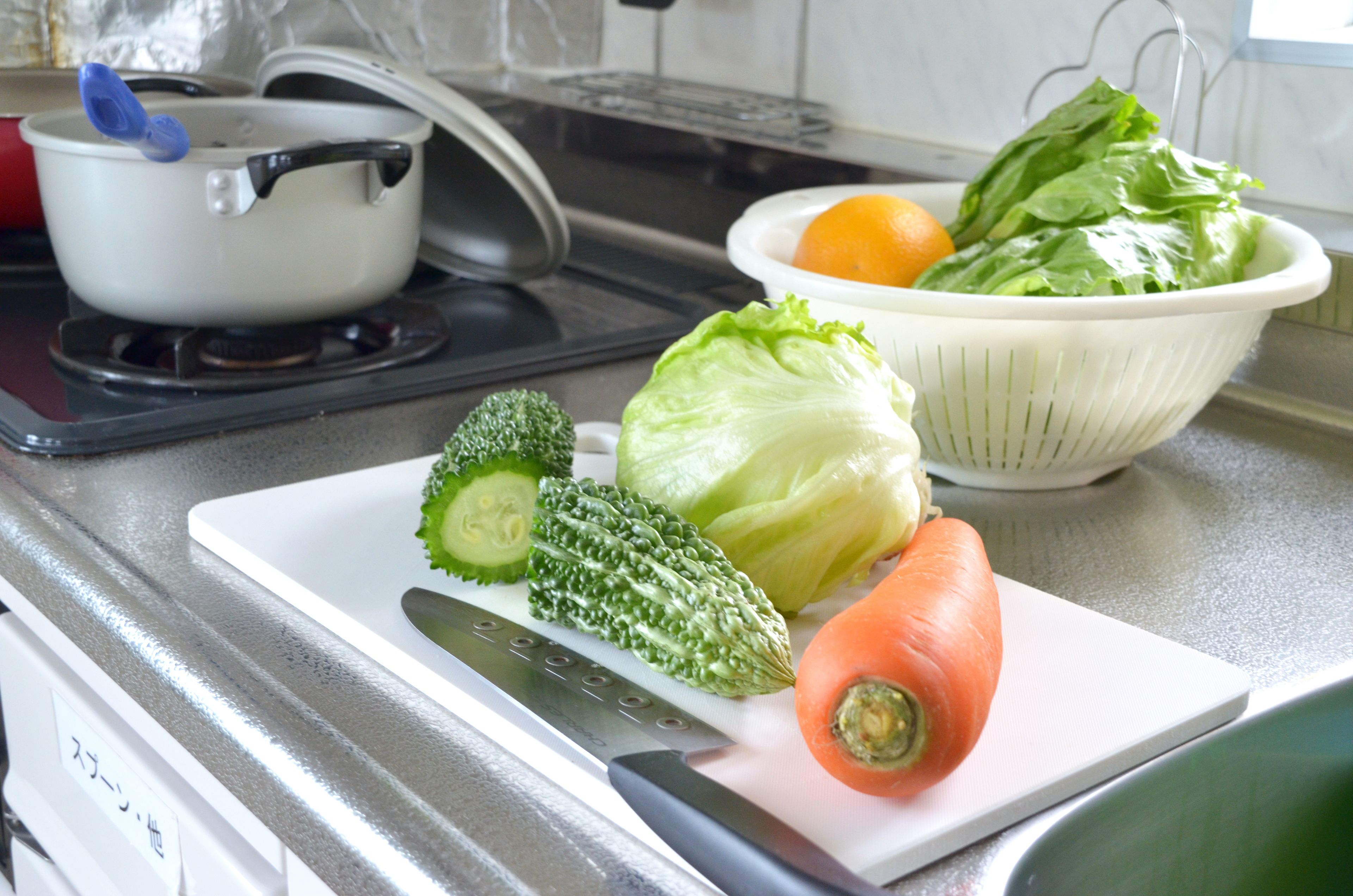 apartment, 1 bedroom (max 4) | private kitchen | full-sized fridge, microwave, stovetop, cookware/dishes/utensils