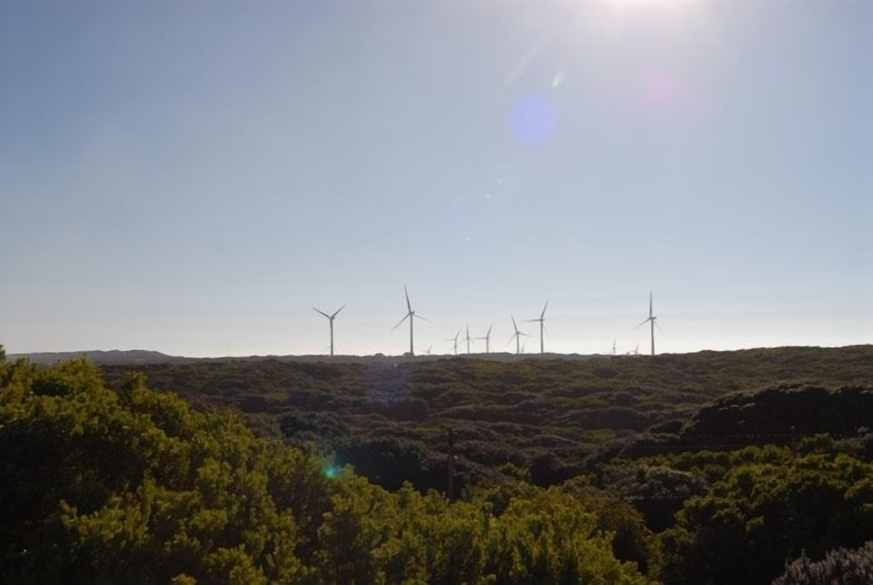 Un paysage avec des éoliennes sur une colline.