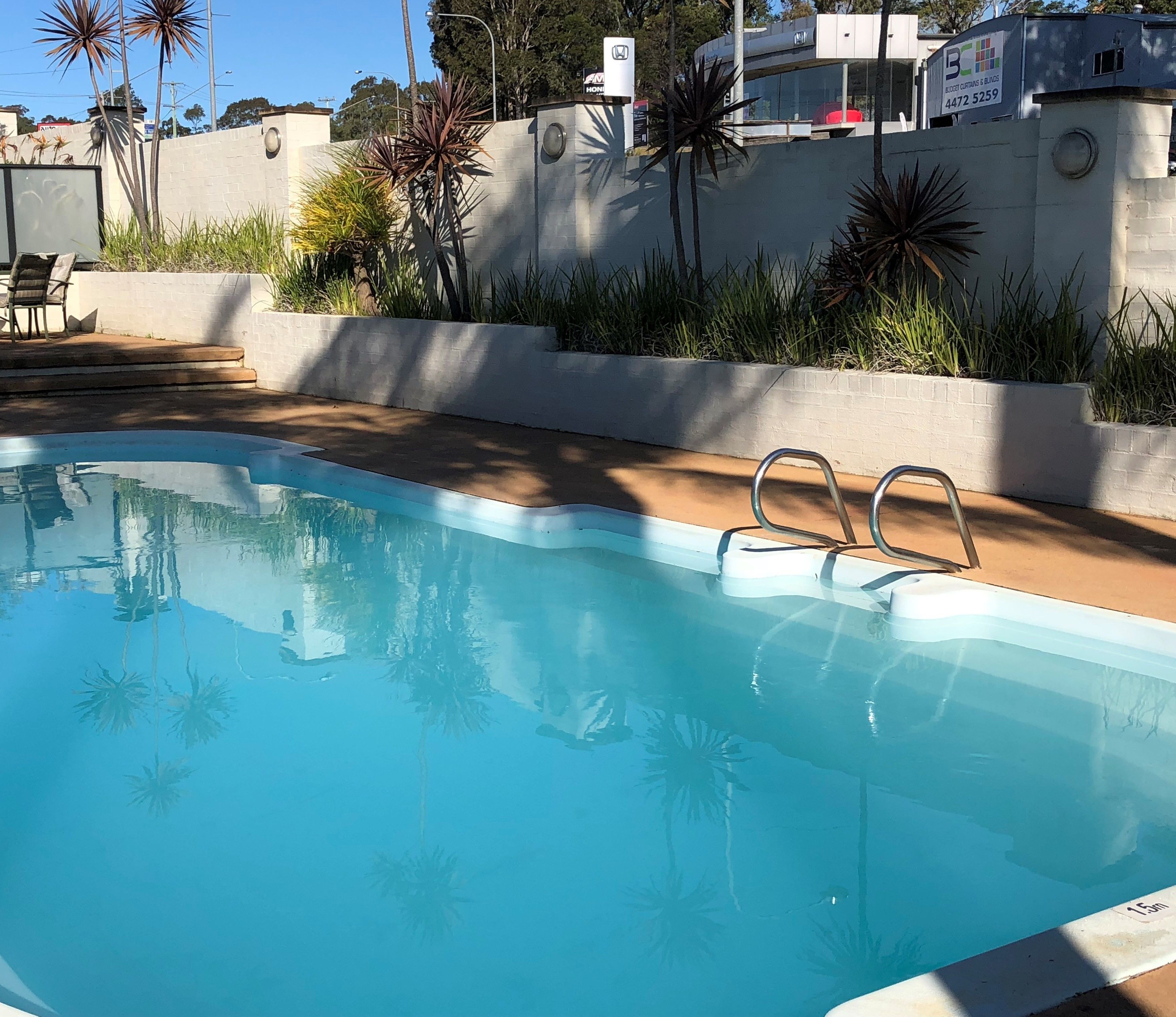 A swimming pool with a clear blue water surface, surrounded by a low brick wall and various plants.