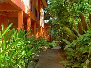 Property grounds - Hollanda Montri Guesthouse (Chiang Mai)