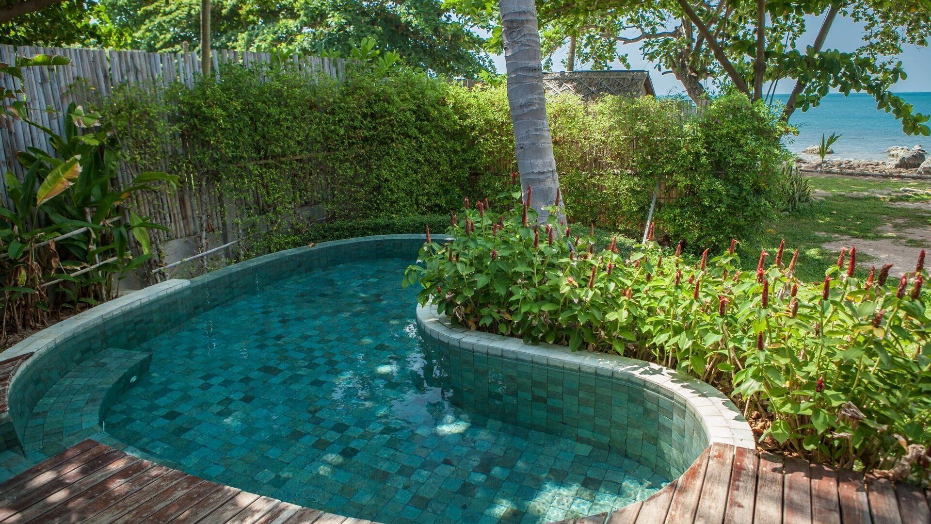A swimming pool with a wooden deck, surrounded by lush greenery and a wooden fence.