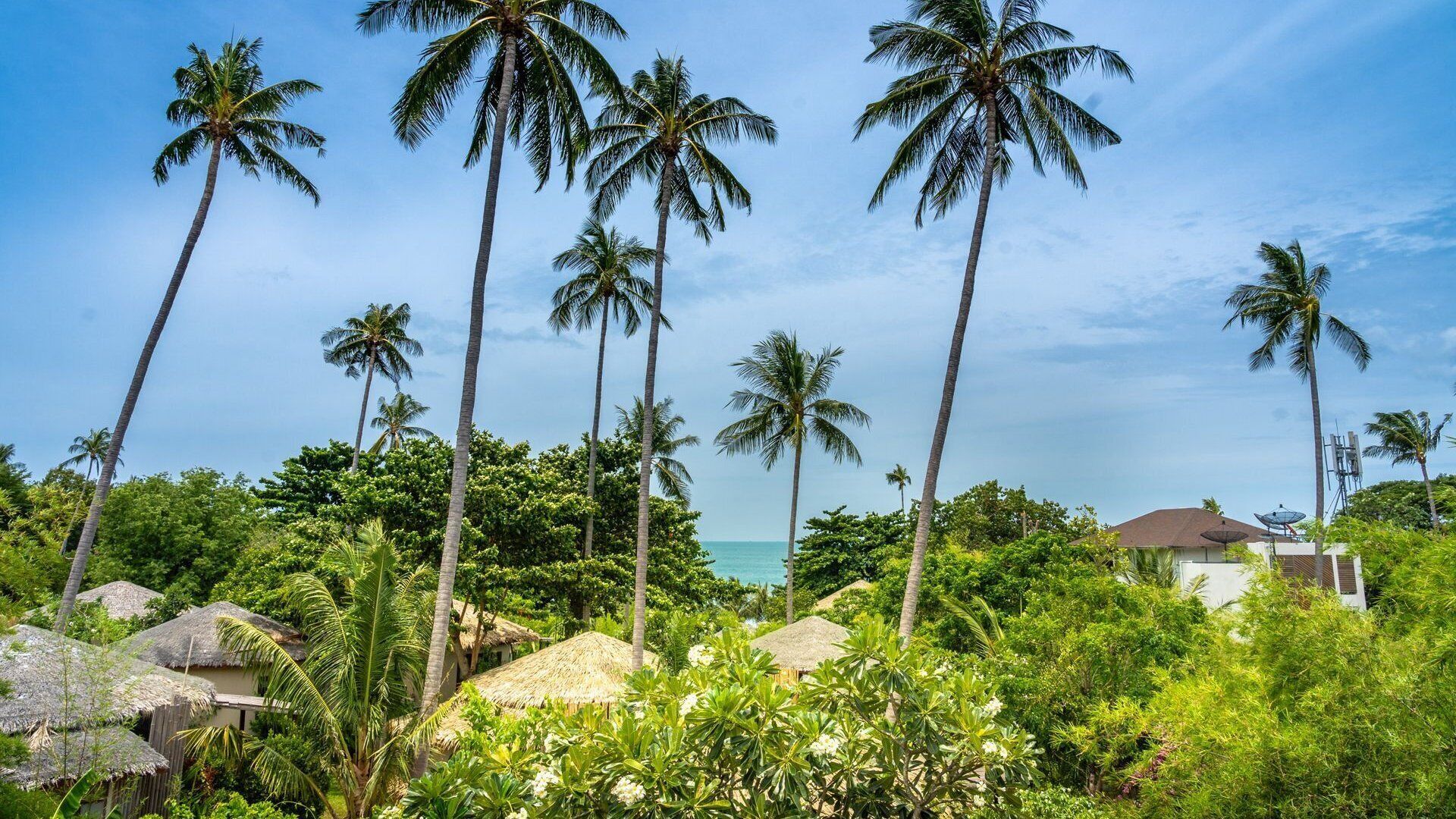 Photo - Sea Dance Resort