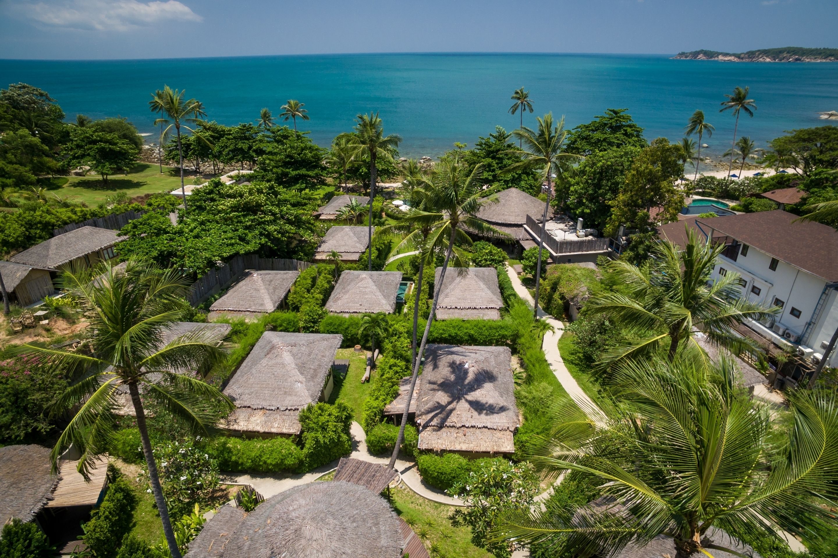 An aerial view of a resort with thatched-roof cottages, palm trees, and a view of the ocean.