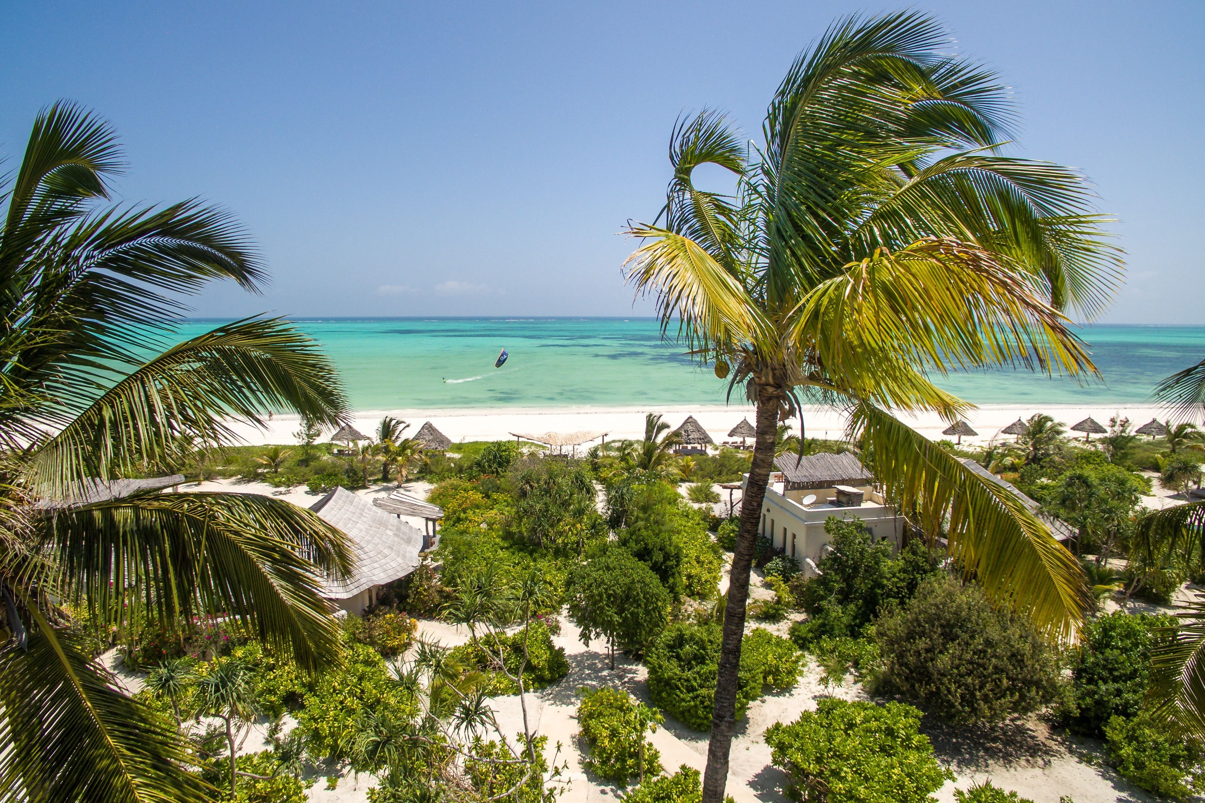 A beach with palm trees, a clear sky, and a view of the ocean.
