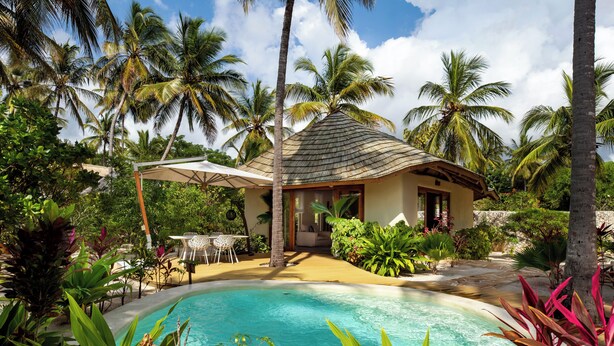 Un espace piscine avec une maison, le tout entouré de palmiers et de plantes tropicales.