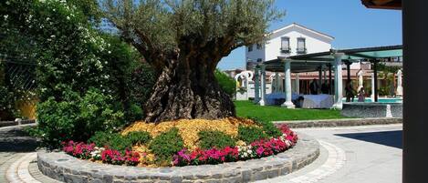 Parco della struttura