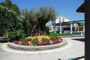 Unterkunftsgelände