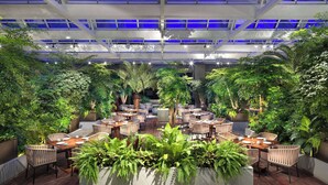 An indoor garden restaurant with tables and chairs surrounded by lush greenery. - Hyatt Regency Tianjin East (Tianjin)