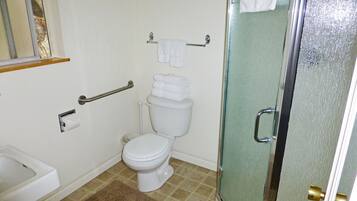 Un baño con inodoro, ducha y puerta de vidrio.