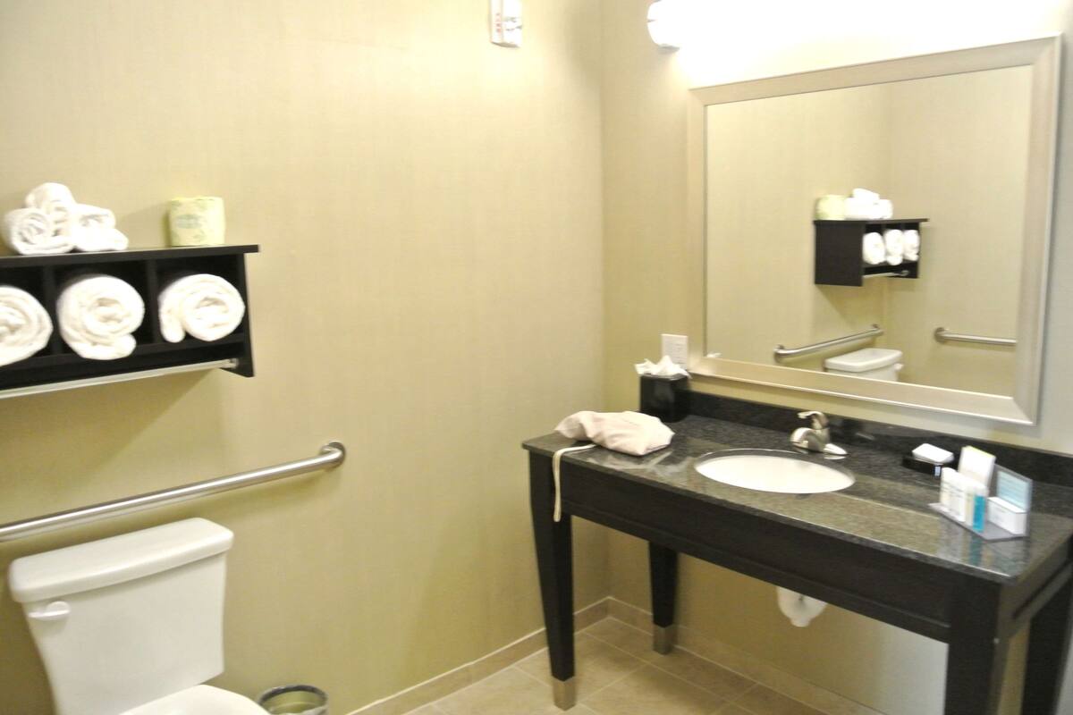A bathroom with a toilet, sink, and towel rack.