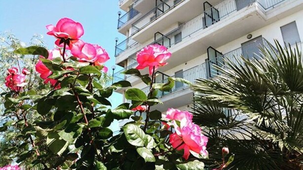 Un immeuble doté de balcons et d’un jardin où poussent des fleurs roses.