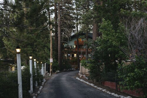 Honey Bear Lodge & Cabins