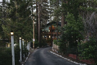 Honey Bear Lodge & Cabins