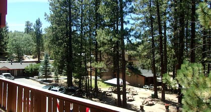 Honey Bear Lodge & Cabins