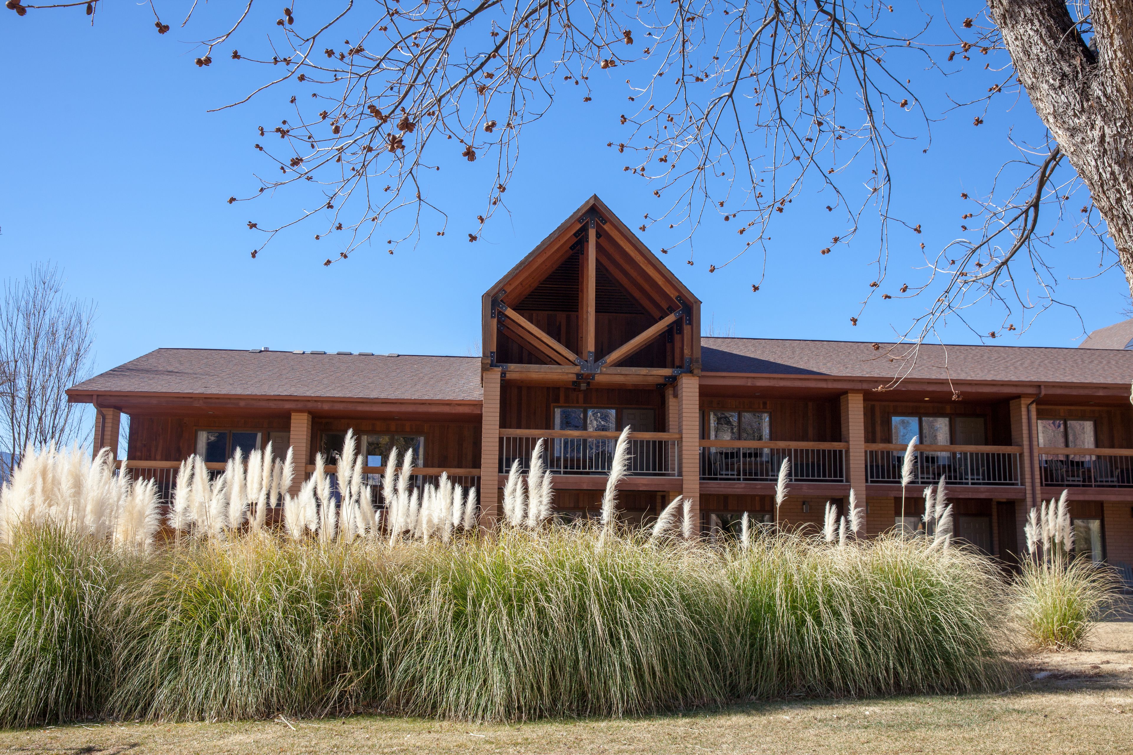 Foto - Driftwood Lodge